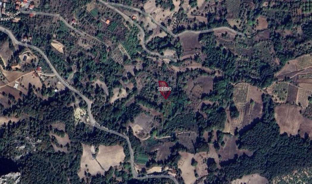 SAKARYA GEYVE DEMİRLER KÖYÜNDE 1.055M² TARLAMIZ SATILIKTIR - SAKARYA GEYVE fotoğraf 2